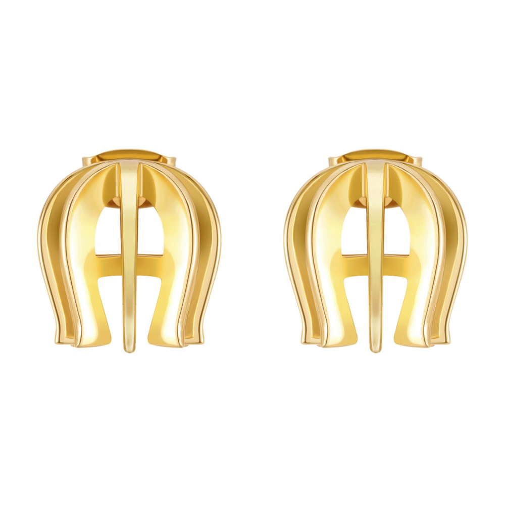 Picture of Aigner Women Brass Gold Earrings A690156