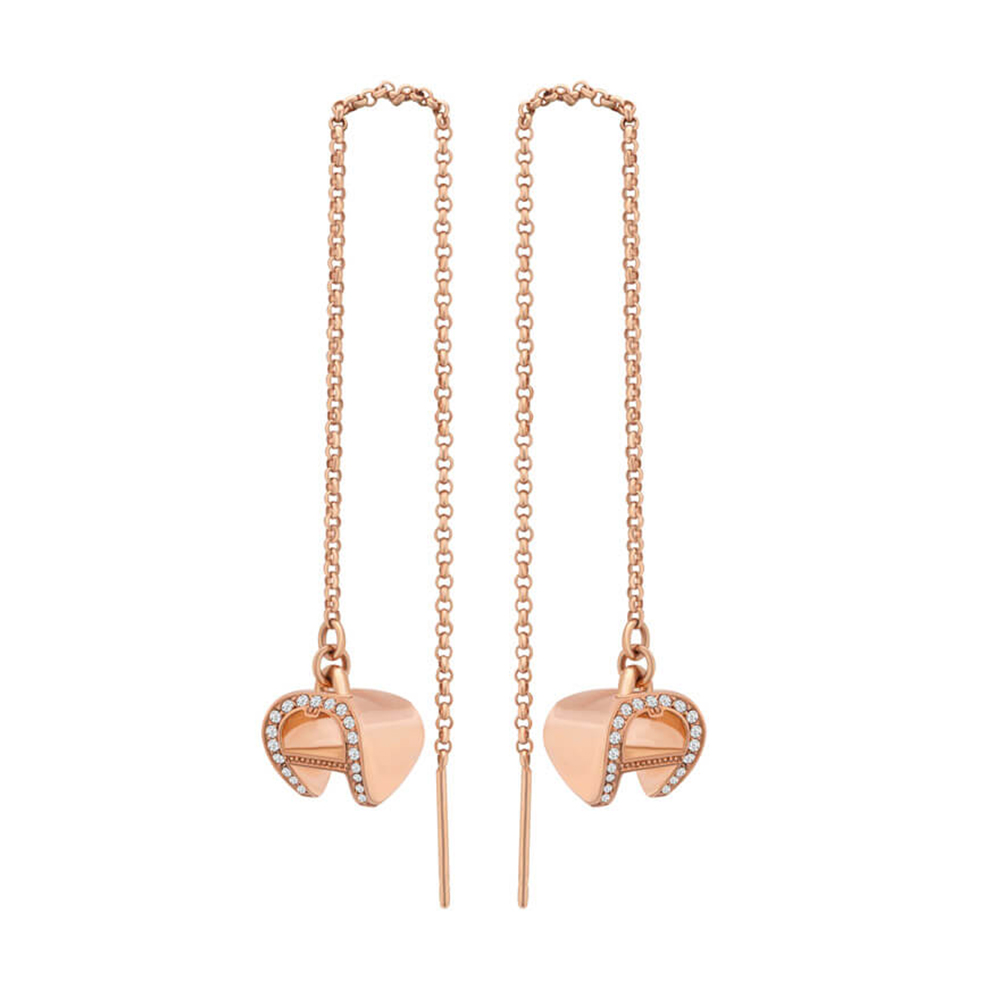 Picture of Aigner Earrings Logo Rose Gold M AJ690089